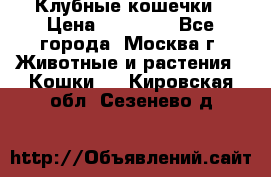 Клубные кошечки › Цена ­ 10 000 - Все города, Москва г. Животные и растения » Кошки   . Кировская обл.,Сезенево д.